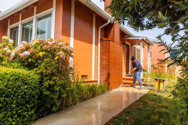 Best Pressure Washing Company Near Me  in Franklin Park, FL